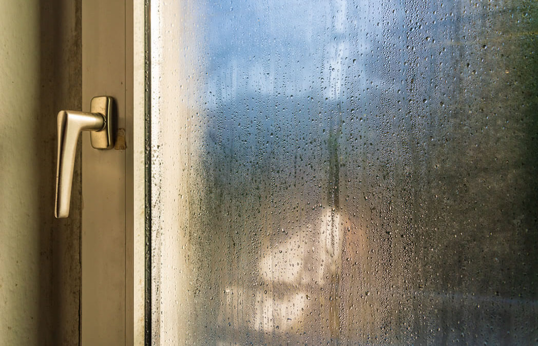 Condensation on the Patio Door