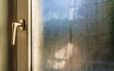 Condensation on the Patio Door