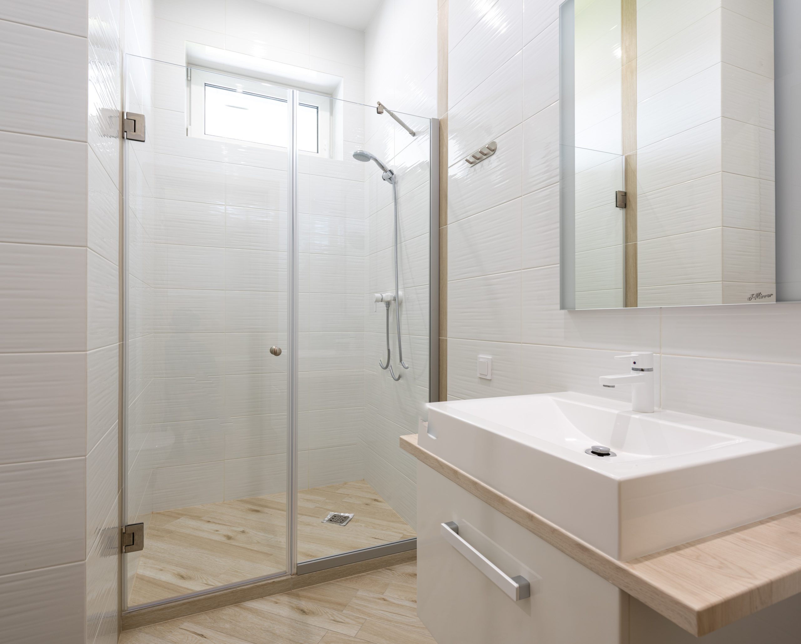 Glass Shower Door