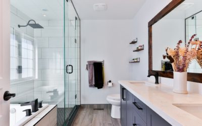 Buying Frameless Shower Doors: What Are Your Options?